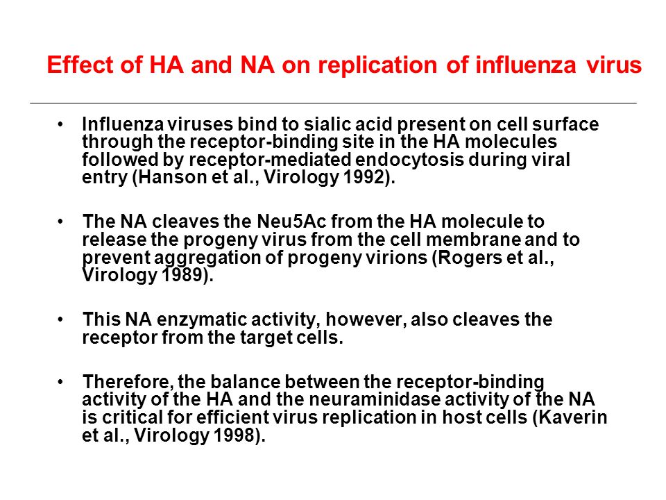 influenza virus entry pdf